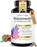 Product image: Blasenwohl