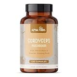 Product image: Cordyceps Mushroom