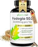 Product image: Fadogia Agrestis 50:1