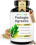 Product image: Fadogia Agrestis 20:1