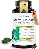 Product image: Spermidin PLUS