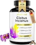 Product image: Cistus Incanus